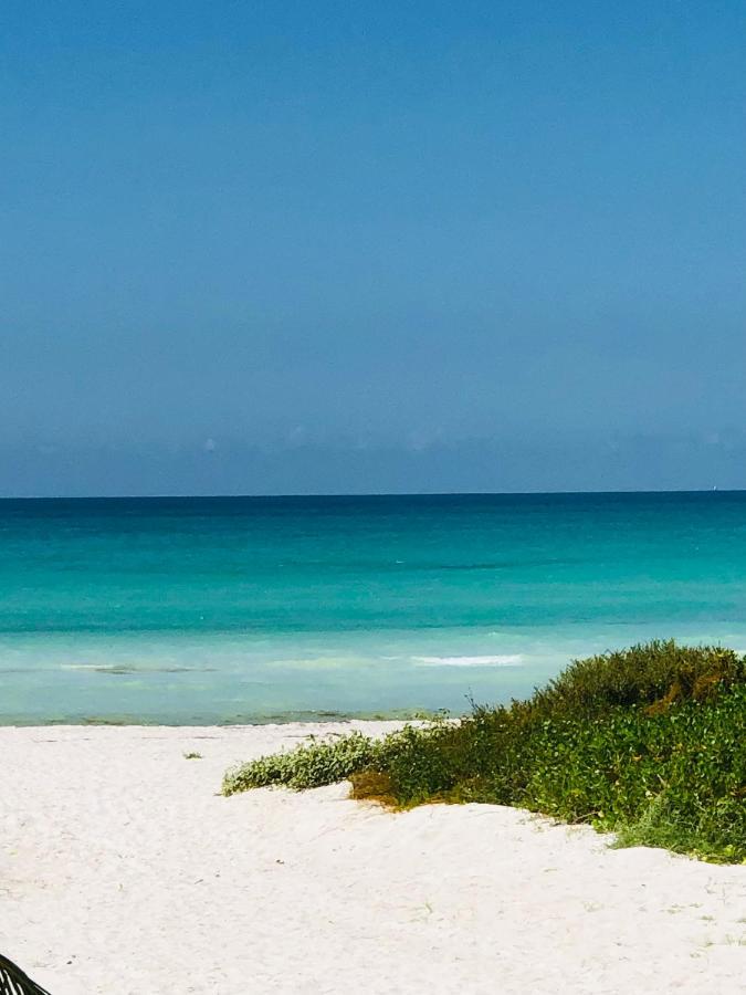 Cabana Colibri A 50 Metros De La Playa Leilighet El Cuyo Eksteriør bilde